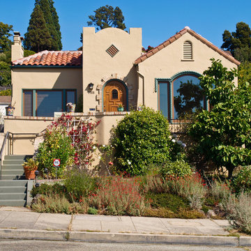 Sierra Meadows Landscape