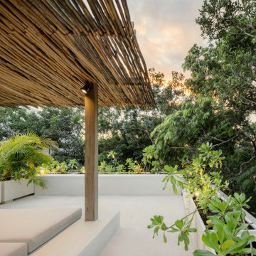 Casa Areca by CO-LAB Design Office