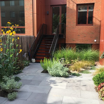 Cobble Hill Organic Modern