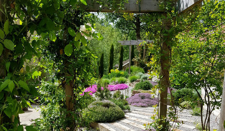 Garden Tour: Pretty Terraces Transform a Shallow, Sloping Plot