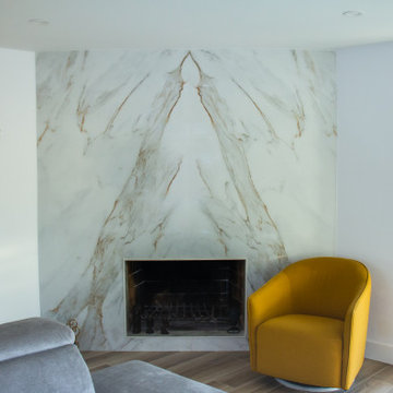 Living Room and Fireplace remodeling