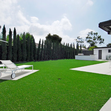 Tustin - Mid-Century Modern Remodel