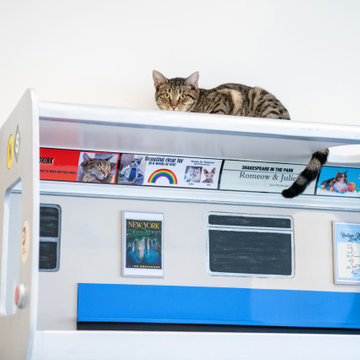 North Shore Animal League America