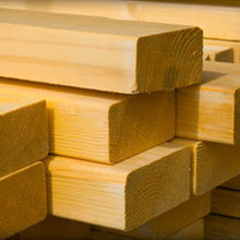 Softwood Timber