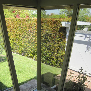 Daydream 25 Window Tint - Sherman Oaks, CA