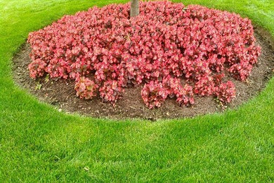 Design ideas for a landscaping in Other.