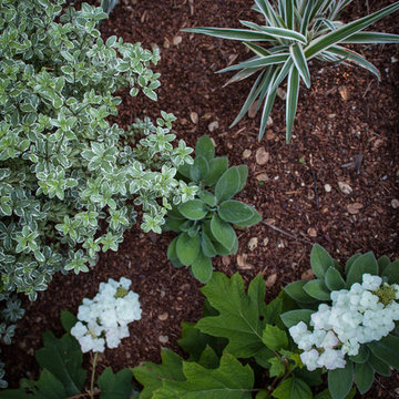 Textured Plantings
