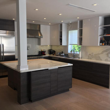 Contemporary Flat Panel Kitchen