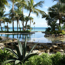 Beautiful Landscapes