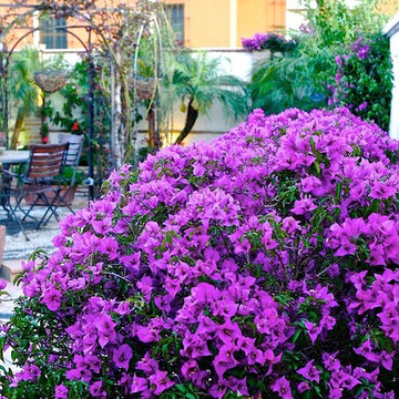 Villa Lourdes