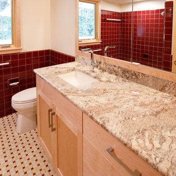 Edina Whole House Rambler Remodel