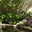 The Gardener's Touch, Inc