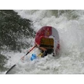 Matt Godsoe's photo