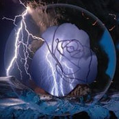 Stormy Roseさんの写真