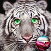 Kitty Morse's photo