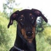 Joanne DeGroff's photo
