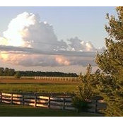 Sandra Van Bezooyen Halverson's photo