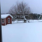 Matt Peterson's photo