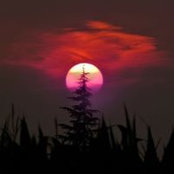 Deborah Allain's photo