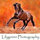 Wendy Lilygreen-Photography