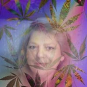 Patricia Schweiger's photo