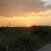 Jason Ma's photo