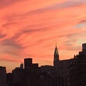 Leigh Adler's photo