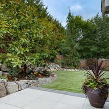 Vineyard yard