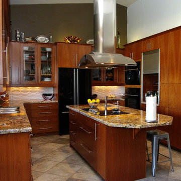 Dow Rivera Contemporary Kitchen Remodel