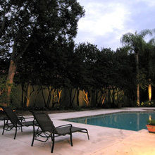 wall