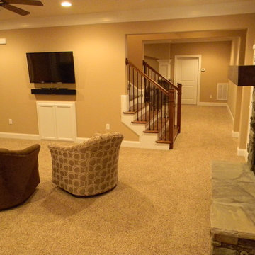 Basement Remodel