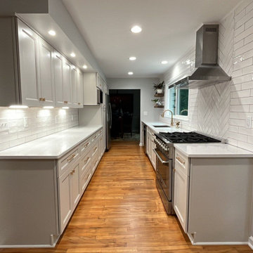 Modern Galley Kitchen Overview
