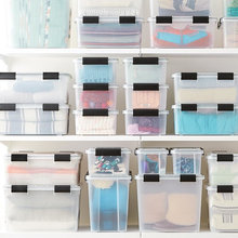 Organization