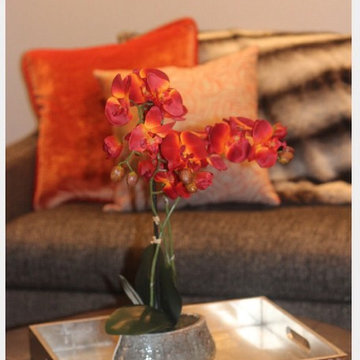 Elkins Park, Family Room
