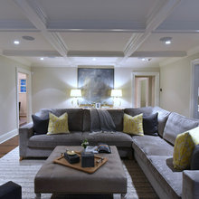 Lower Family Room