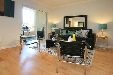 Living room - contemporary living room idea in San Francisco