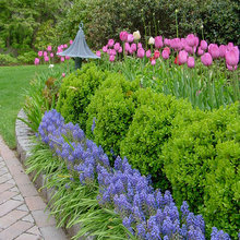 Landscape Ideas