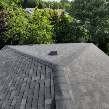 Siding & Exterior