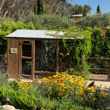 Chicken Coops