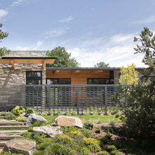 Naples/New Home Landscaping