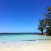 Lyllian Yim's photo