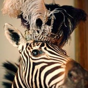 Trish Gregg's photo