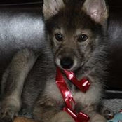 Sachiko Paz's photo