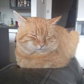 Gingernuts Smiths foto