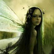 Liz Acord's photo