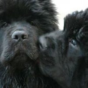 Photo de Tina Muloin-Untinen