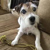 Sue Boone's photo