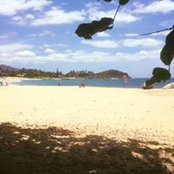 April Dornath's photo