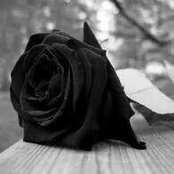Carolina Janser-Hernandez's photo