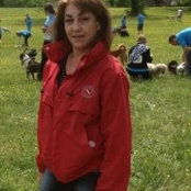 Foto von Shirley Carelli
